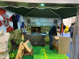 Varios Jogos e Eventos